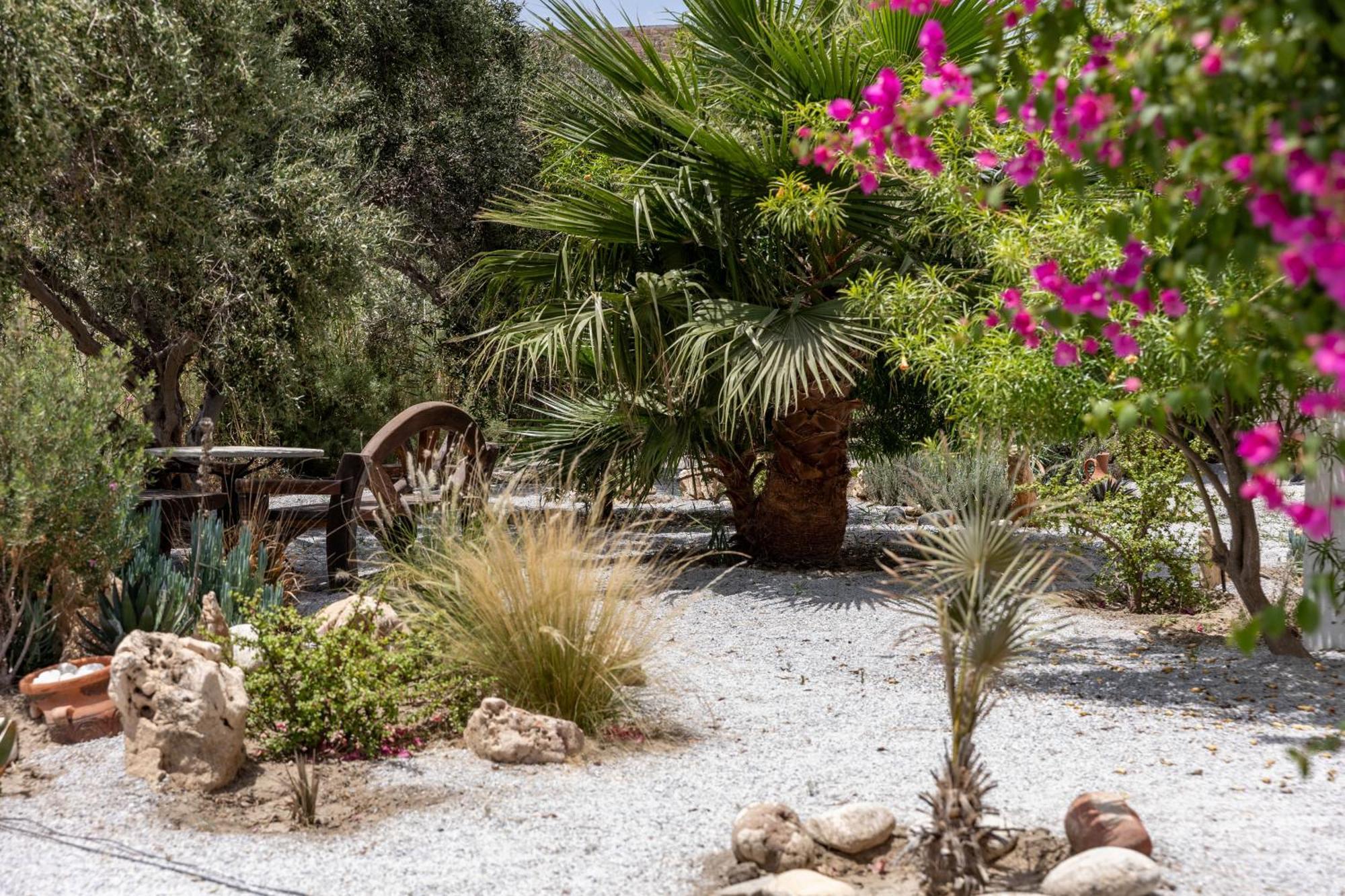 Helios Beach Studios Plaka  Exterior photo